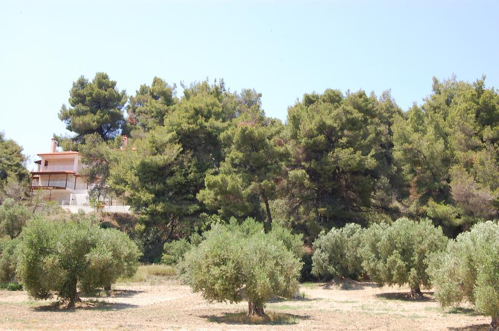 Posidi Studios Luaran gambar